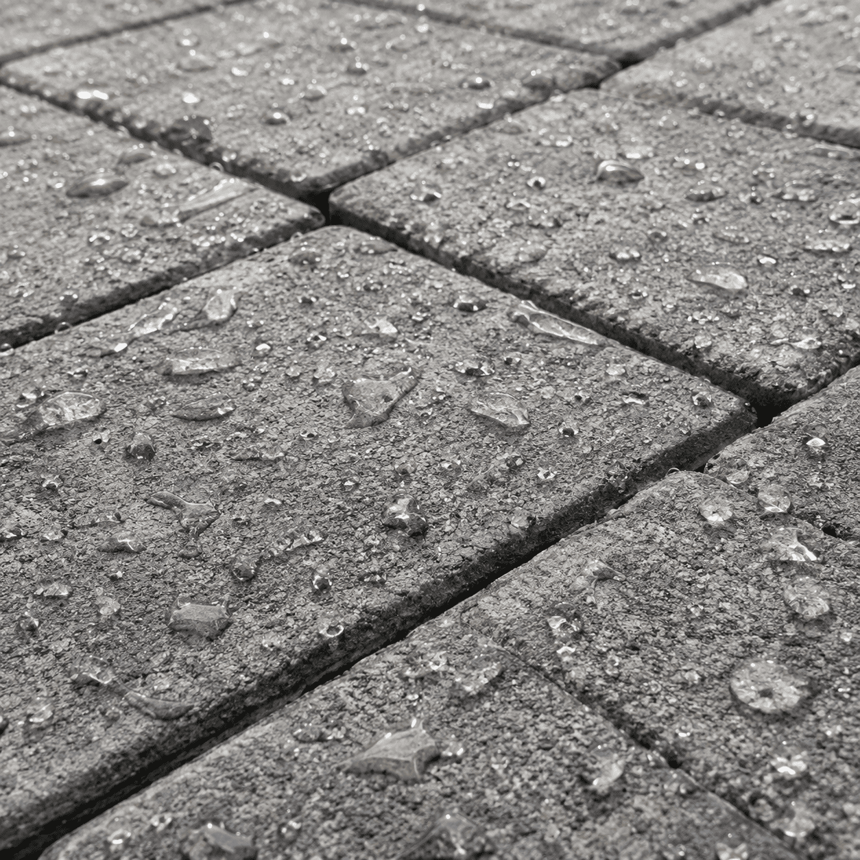 Paver Sealing